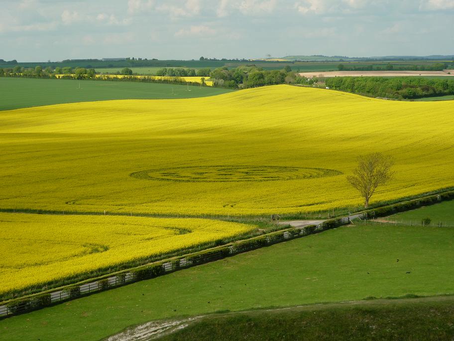 The First Crop Circle of 2010: My interpretation