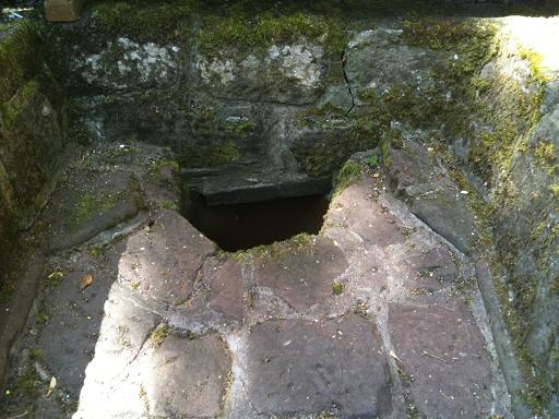 The Solstice – Plegmund’s Well