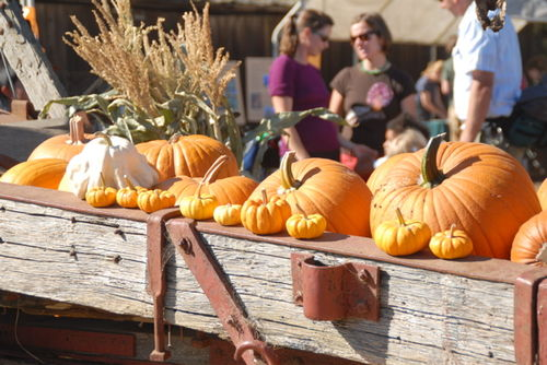 harvest_festival