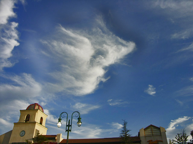 The Old Pear Tree and the Cloud Sylph