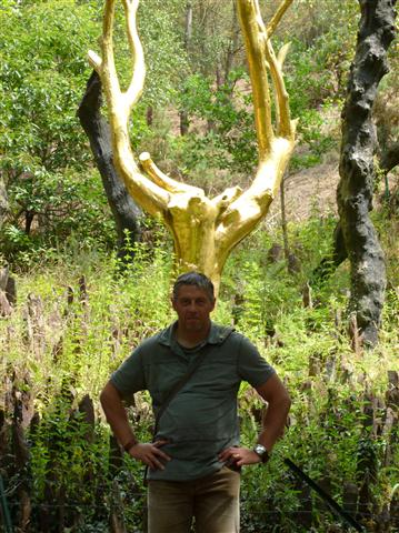 Finding the Horns of the Stag