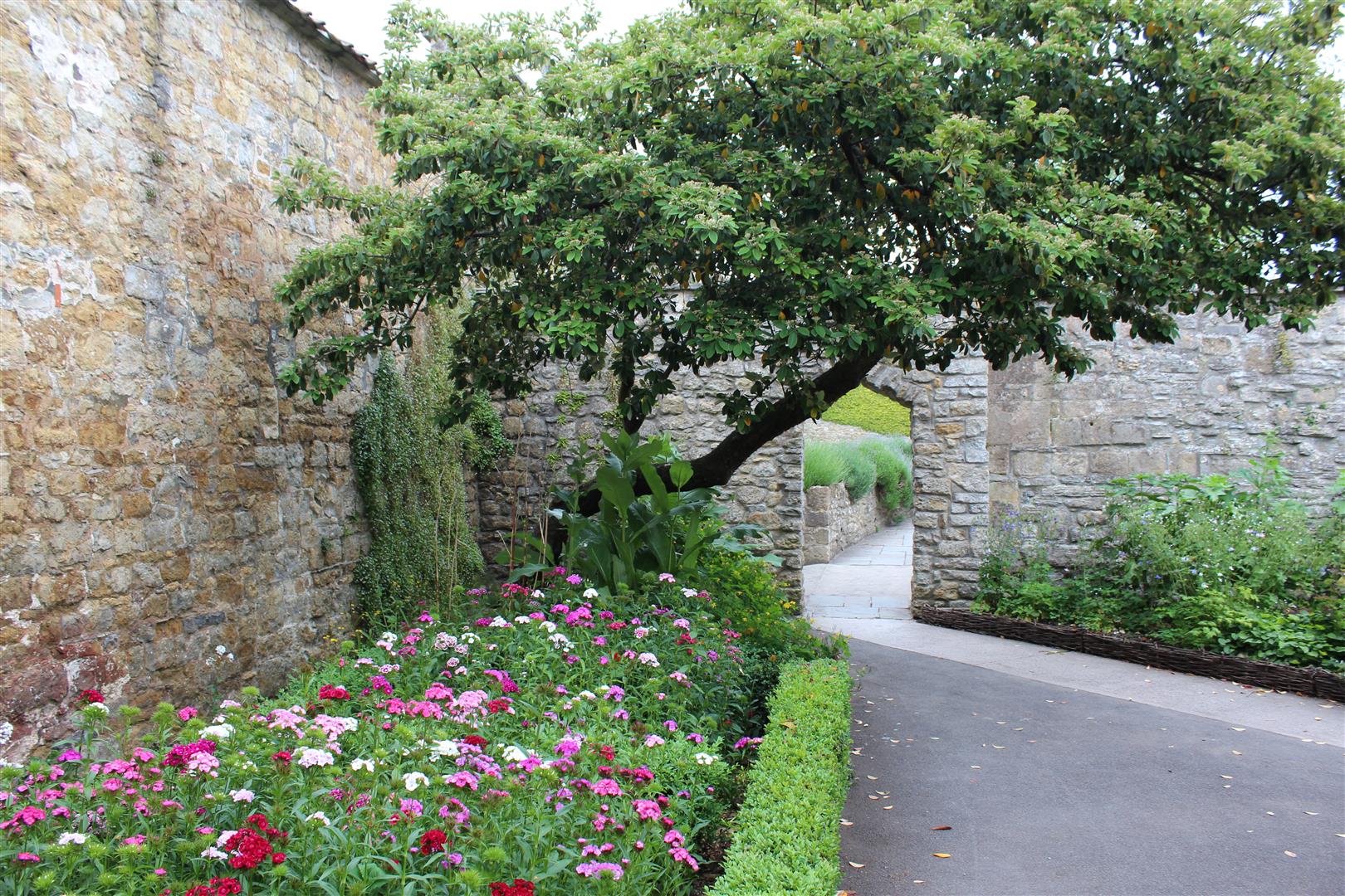 Summer Solstice 2013 p1 – Glastonbury Abbey and the Arthurian Energies