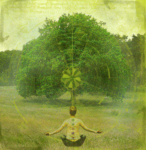 Druid’s Circle 2013 – Energy Attractors and Disruptors