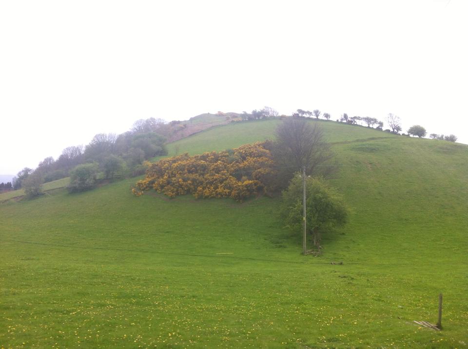 Bodfari and Holywell – Healing our past