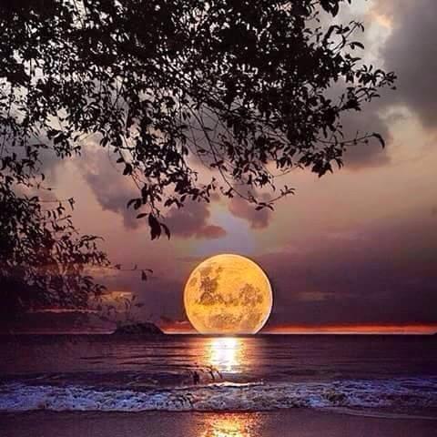 Moon kissed Earth – Lammas 6