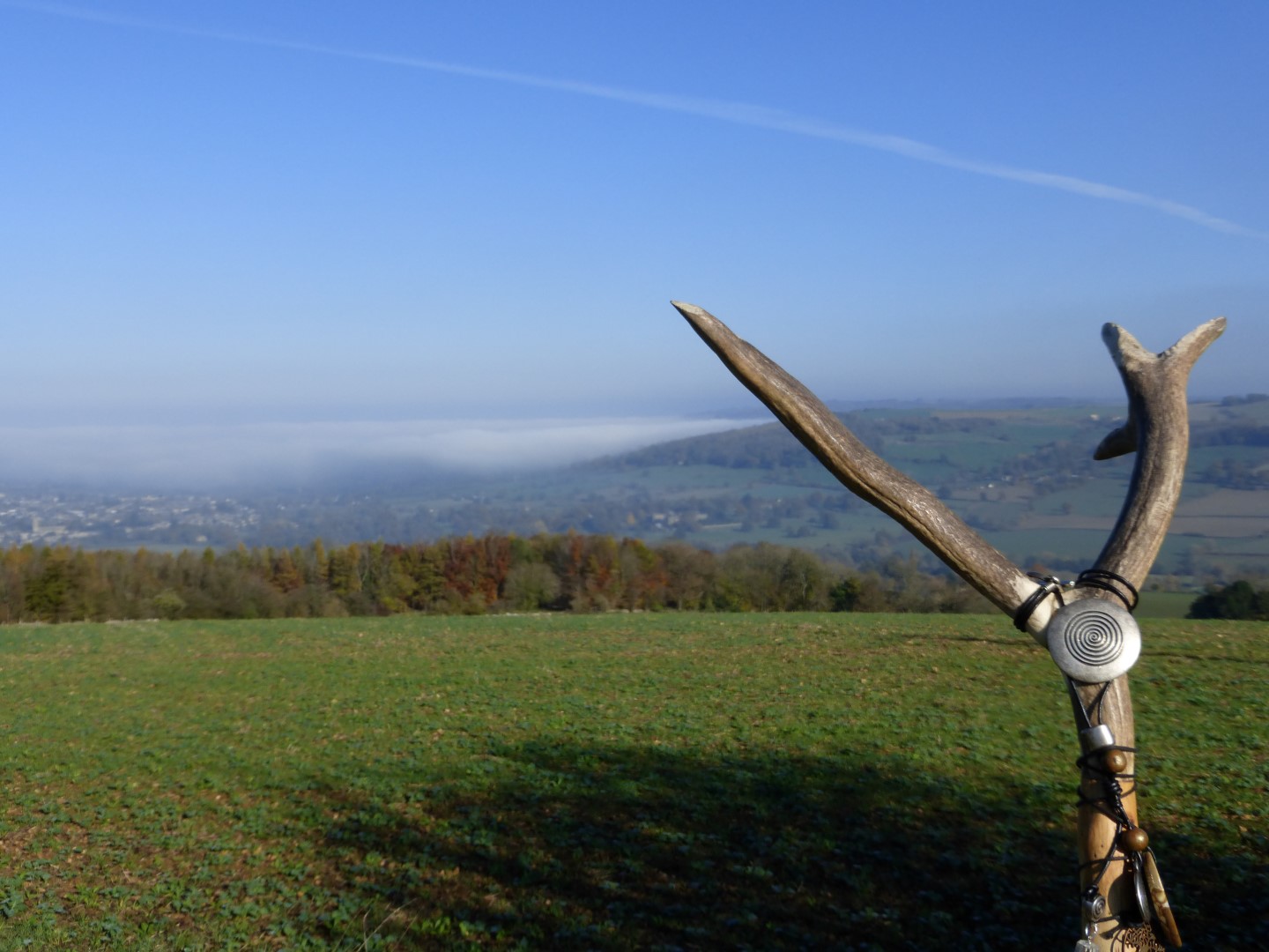 Samhain 2015 P1 – Bel and the Bee