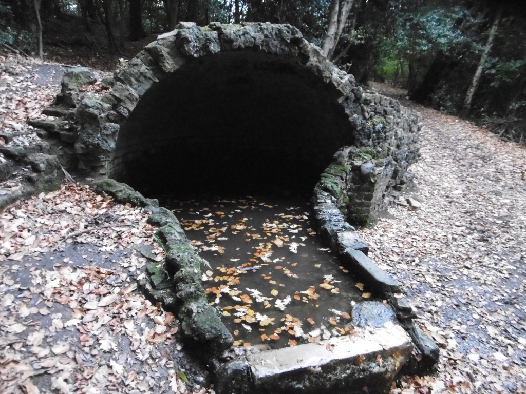 Surrey 3- The Well of Anu